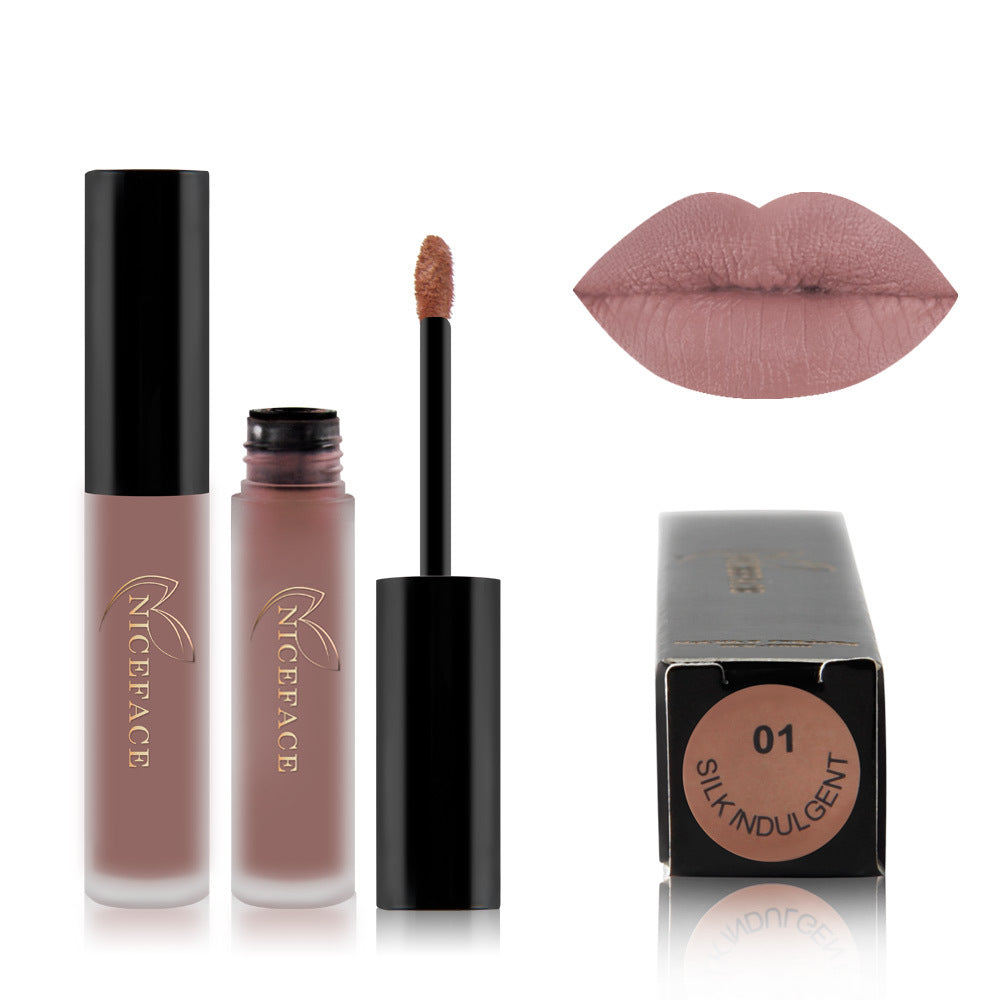 Gloss à Lèvres Mat Brume | Couleur Élégante & Fini Velouté