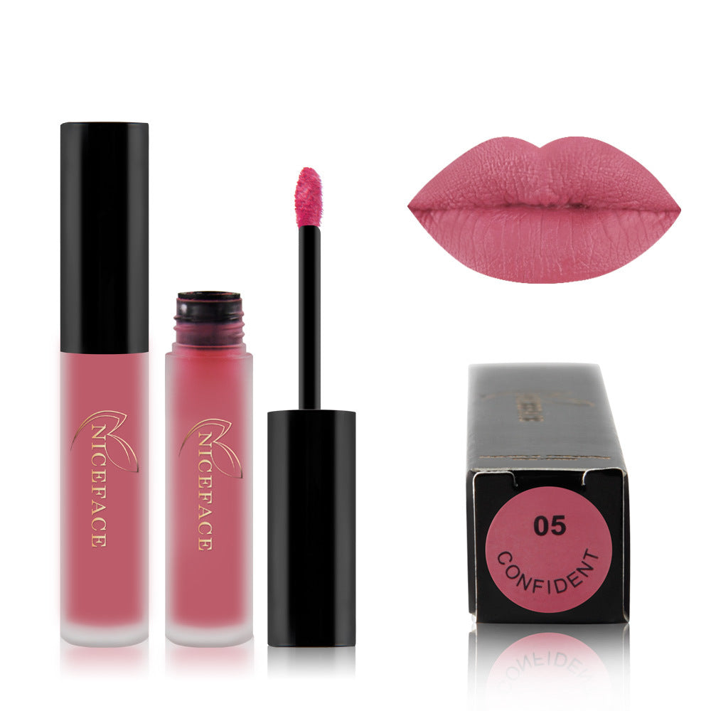 Gloss à Lèvres Mat Brume | Couleur Élégante & Fini Velouté